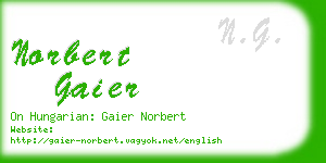 norbert gaier business card